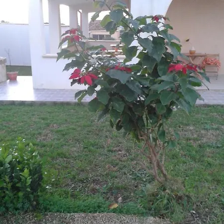 Bed & Breakfast La Casa Delle Farfalle *