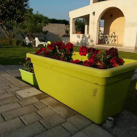 La Casa Delle Farfalle Bed & Breakfast *