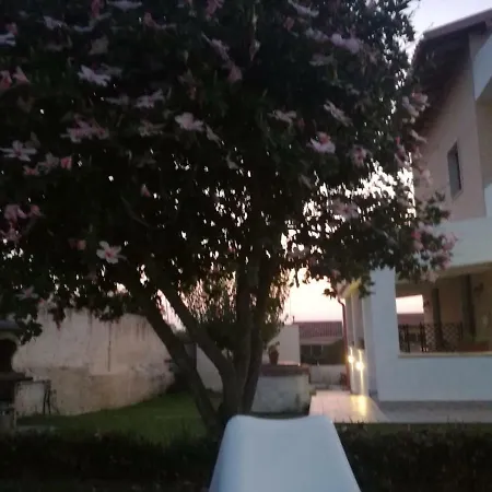 La Casa Delle Farfalle