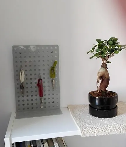 La Casa Delle Farfalle Syracuse