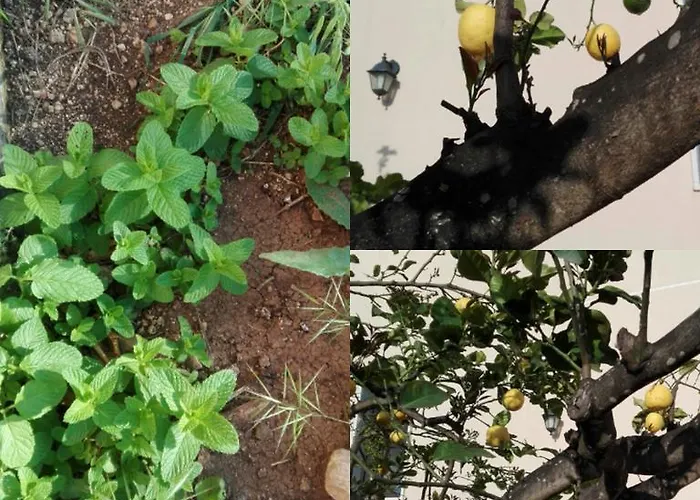 La Casa Delle Farfalle Bed and breakfast *