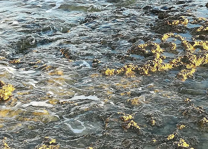 La Casa Delle Farfalle Bed and breakfast Syracuse